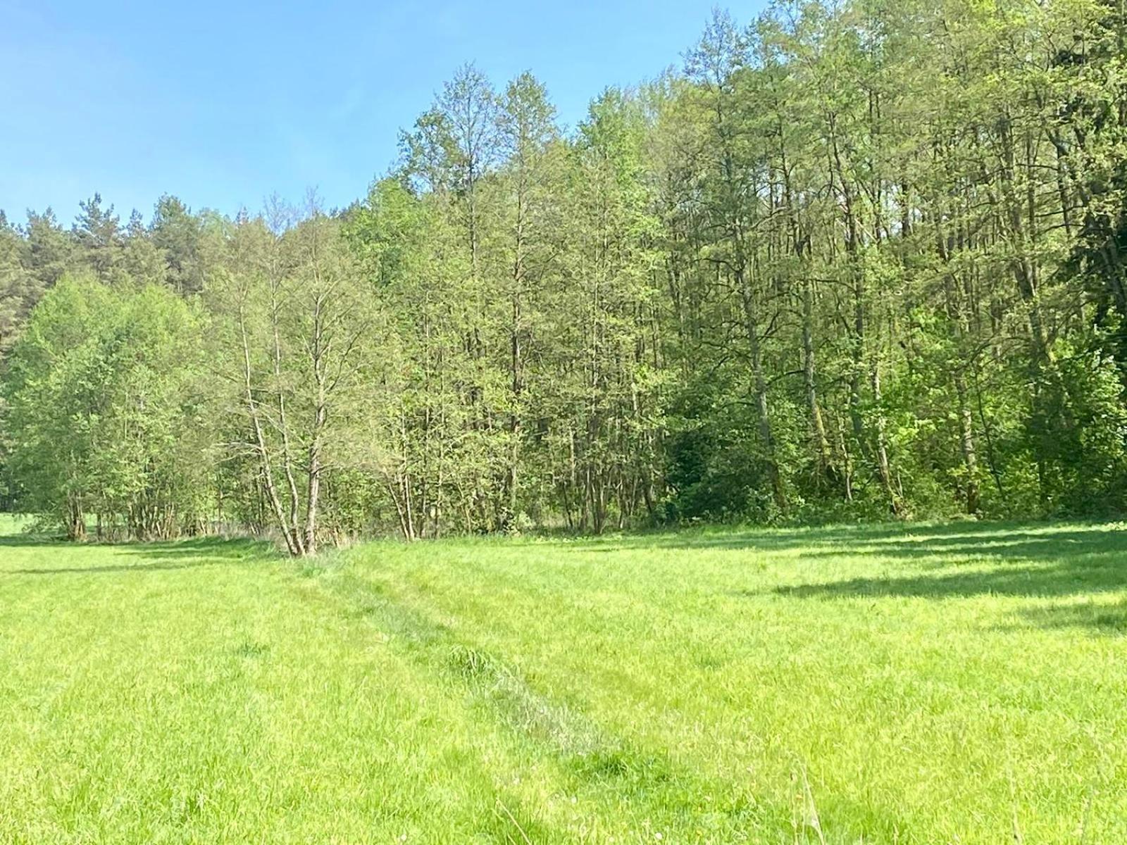 Ferienwohnung Zielona Mila Sępólno Krajeńskie Exterior foto